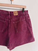 Load image into Gallery viewer, Vintage Bass High Rise Denim Shorts - Size 12
