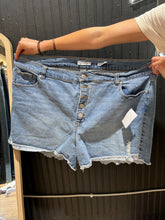 Load image into Gallery viewer, A beautiful soul &quot;today is your day&quot; denim shorts! size 22
